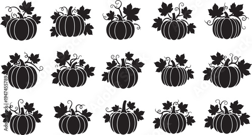 Black and white pumpkin patch illustration with leaves pattern