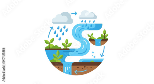 Illustration of a water cycle process with rain, clouds, and plants on a white background, symbolizing sustainable living and natural resources for World Water Day celebration and