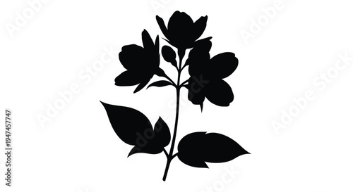 Silhouette of a blossoming flower stem with multiple blooms and leaves