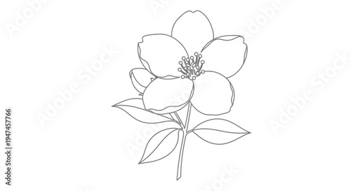 Minimalist line drawing of a blossoming flower with leaves on a stem
