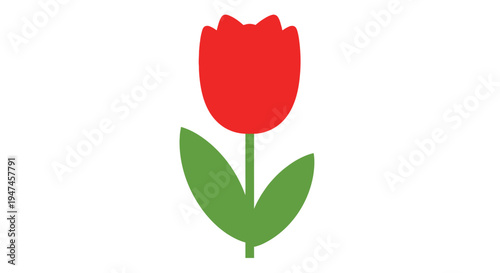 Simple illustration of a single red tulip with two green leaves on a stem