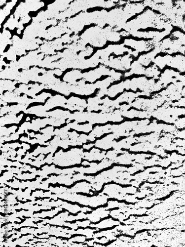 Abstract black and white texture of cracked paint forming irregular organic lines and patterns. High-contrast monochrome surface with weathered details, suitable as a grunge or distressed background.
