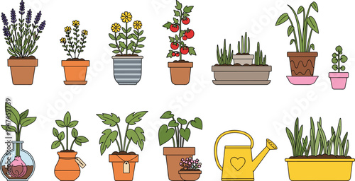 Potted houseplants and garden flowers collection with decorative pots, indoor plants, herbs and watering can for home gardening vector illustration set