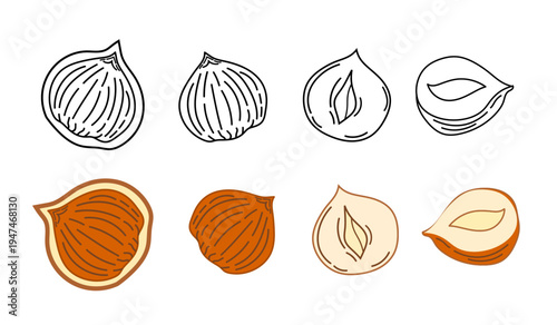 hazelnuts collection illustration. set of hazelnuts illustration. hazelnuts doodle set. collections of hazelnuts.