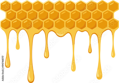honey dripping from honeycomb Border