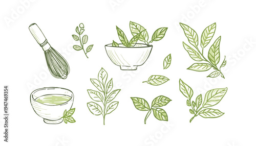 Set of handrawn matcha doodle collection design