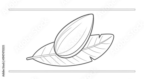 Almond Nut and Leaf Line Art Icon, Healthy Food Symbol, Vector Illustration