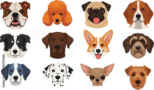 Set of twelve flat vector dog breed head icons, featuring bulldog, poodle, pug, beagle, corgi, dalmatian, chihuahua, and border collie.