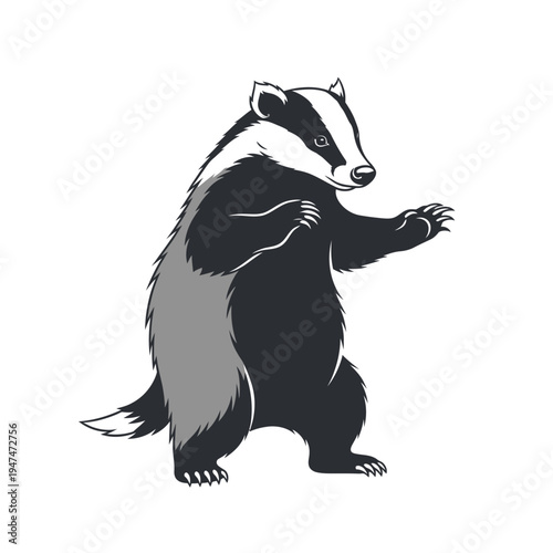 Cartoon illustration of a badger standing upright with its arms raised in a defensive pose.