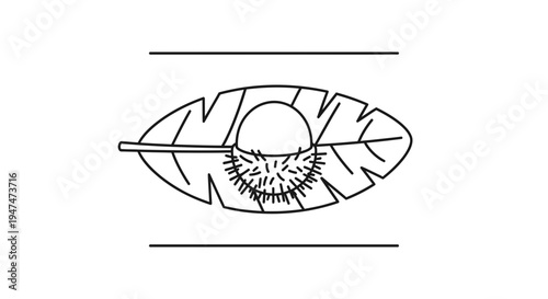 Chestnut on a Leaf: Autumn Harvest, Natural Food, Organic Ingredient, Healthy Snack