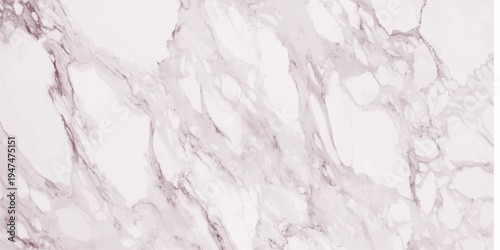 Detailed structure of abstract marble black and white(gray).White marble texture for background or tiles floor decorative design. Category Landscapes Language English Keywords 4359