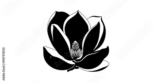 Black and White Magnolia Flower Silhouette, Elegant Floral Design