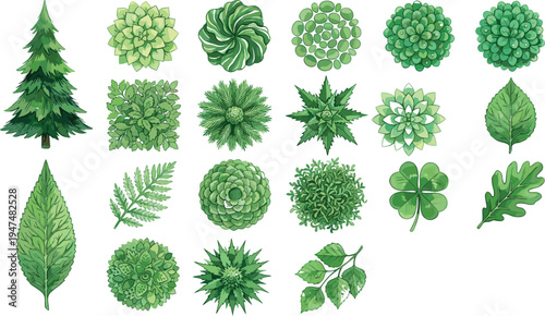 Green plants and leaves vector set, botanical foliage collection with trees, succulents and clover, nature plant illustration pack