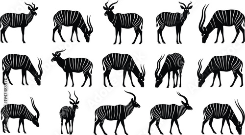 African kudu antelope silhouette set, striped gazelle animal collection in various poses, safari wildlife, cad drawing flat vector illustration, isolated.