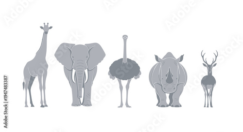 African safari wildlife collection of giraffe elephant ostrich rhinoceros and deer set, cad drawing flat vector illustration, isolated on white.