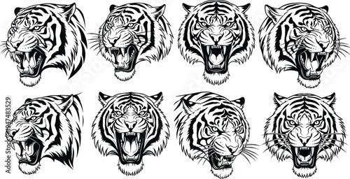 Aggressive tiger head mascot set, roaring predator with sharp fangs, wild animal tattoo collection, cad drawing flat vector illustration, isolated.
