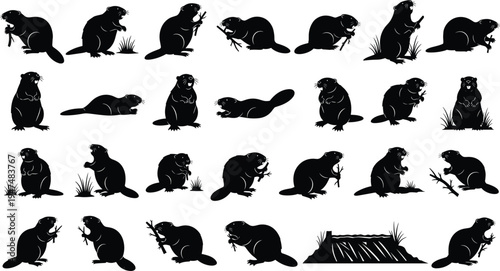 Beaver silhouette vector set, aquatic rodent collection, black animal icons, dam building sequence, wild castor shapes, isolated on white background.
