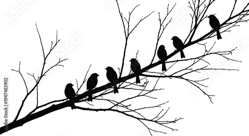 Birds on tree branch silhouette set, flock of songbirds sitting on winter dry twig, cad drawing flat vector illustration, isolated.