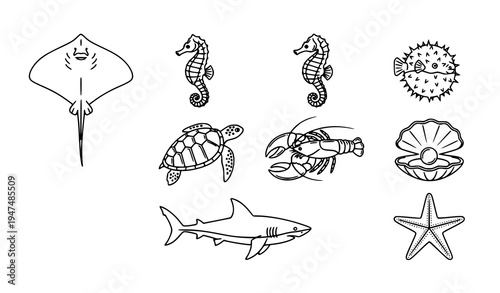 Minimal marine life line icons set with seahorse shark turtle lobster and sea creatures vector collection