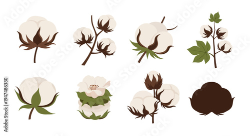 Decorative collection of flat cotton plant illustrations featuring open bolls, soft flowers, and leafy branches isolated on a white background for textiles.