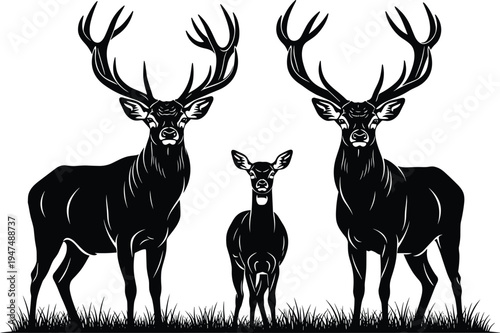 Deer family with buck and fawn silhouette isolated on white background, cad drawing flat vector illustration of forest wildlife nature.