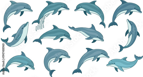Playful Dolphin Vector Set Showing Different Swimming Poses of Marine Mammals for Ocean Wildlife Illustration, Aquarium Graphics, Nautical Design Projects and Educational Materials.