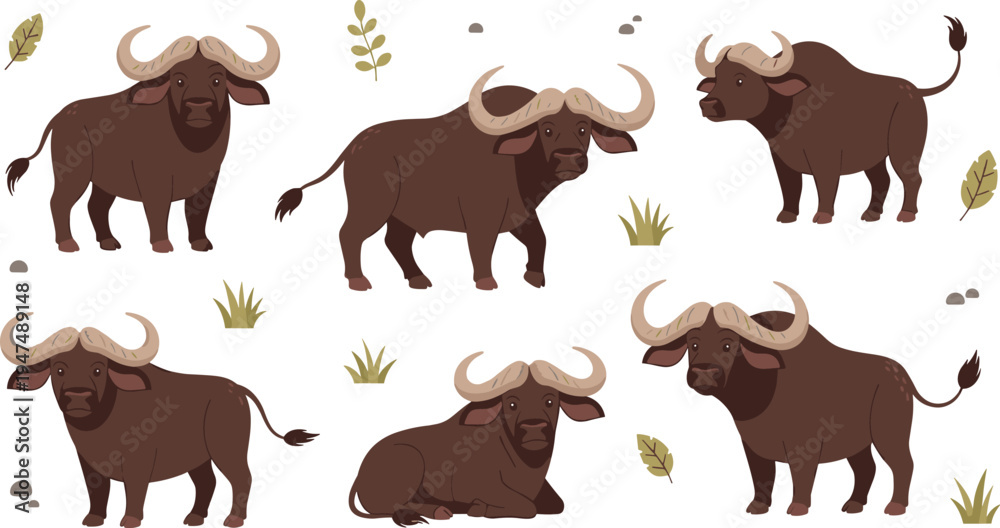 Fototapeta premium African Buffalo Vector Illustration Set Featuring Wild Cape Buffalo in Standing and Resting Poses for Safari Wildlife Graphics, Nature Designs, and Animal Education Materials.