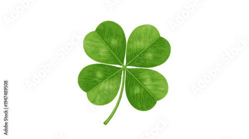 Lush vibrant green four leaf clover floating on white background with bright lighting