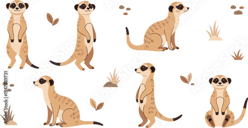 Meerkat Vector Illustration Set Featuring Cute African Desert Animals in Standing and Sitting Poses for Safari Wildlife Graphics, Nature Designs, and Educational Materials.