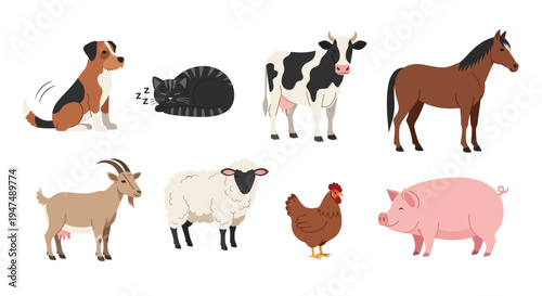 Collection of flat vector farm animals and domestic pets including a dog, sleeping cat, cow, horse, goat, sheep, chicken, and pig isolated on white background.