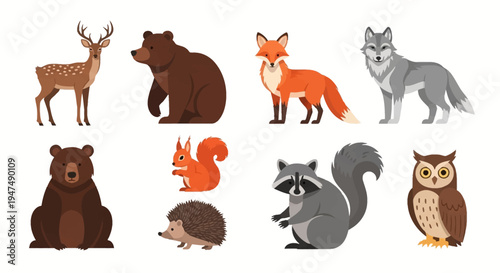 Collection of flat vector illustrations of forest animals including deer, bear, fox, wolf, grizzly, squirrel, hedgehog, raccoon and owl on white background.