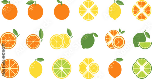 Citrus Fruit Vector Set with Oranges, Lemons, and Limes in Whole, Sliced, and Cross-Section Views for Food, Freshness, and Natural Themes