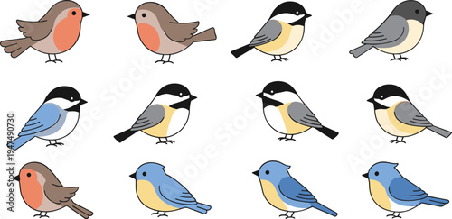 Cute Bird Vector Set with Robins, Chickadees, and Bluebirds in Various Poses for Nature, Wildlife, and Birdwatching Themes