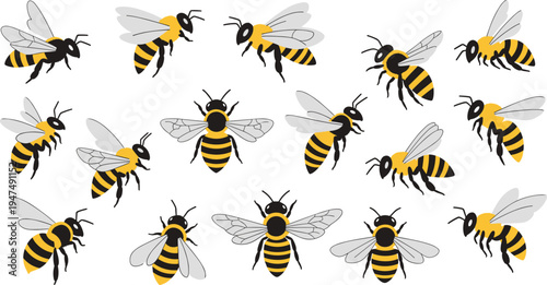 Honey Bee Vector Illustration Set Featuring Flying Pollinator Insects in Different Positions for Nature Wildlife Graphics, Beekeeping Concepts, Agriculture Themes, and Ecology Designs.