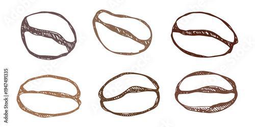 Set of hand drawn fresh roasted coffee bean Arabica robusta seed doodle Single element for design print packaging label decor