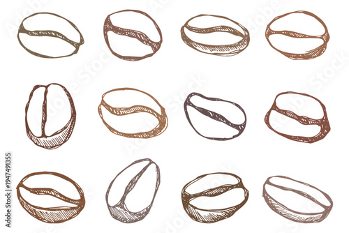 Set of hand drawn fresh roasted coffee bean Arabica robusta seed doodle Single element for design print packaging label decor