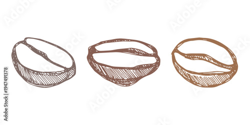 Set of hand drawn fresh roasted coffee bean Arabica robusta seed doodle Single element for design print packaging label decor