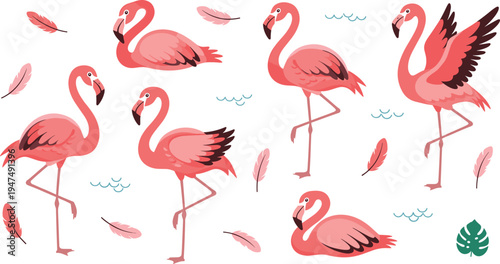Pink Flamingo Vector Illustration Set with Tropical Birds in Elegant Standing, Walking, and Sitting Poses for Exotic Wildlife Graphics, Summer Designs, and Nature Themes.