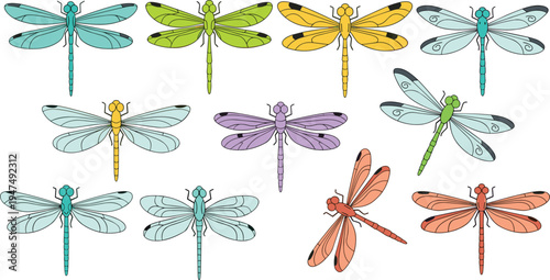 Dragonfly Vector Illustration Set Featuring Colorful Flying Insects with Detailed Wings in Various Positions for Nature Wildlife Graphics, Garden Designs, and Educational Materials.