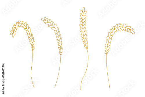 Set of hand drawn cereal wheat oat rye barley rice ears spikelet clipart Organic wheat bread agriculture farming harvest healthy food Single element for design print packaging label decor