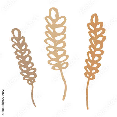 Set of hand drawn cereal wheat oat rye barley rice ears spikelet clipart Organic wheat bread agriculture farming harvest healthy food Single element for design print packaging label decor
