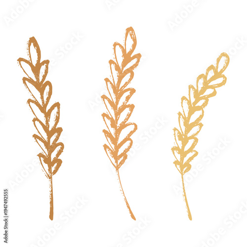 Set of hand drawn cereal wheat oat rye barley rice ears spikelet clipart Organic wheat bread agriculture farming harvest healthy food Single element for design print packaging label decor
