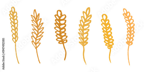 Set of hand drawn cereal wheat oat rye barley rice ears spikelet clipart Organic wheat bread agriculture farming harvest healthy food Single element for design print packaging label decor