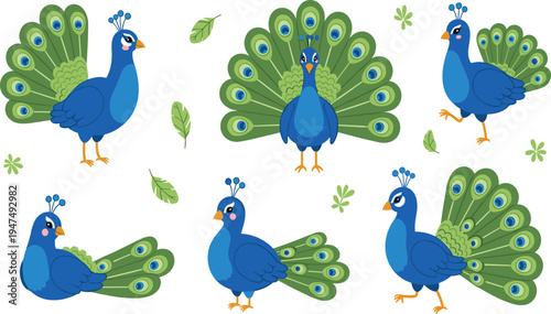 Peacock Vector Illustration Set Featuring Elegant Blue Peafowl Birds with Colorful Tail Feathers in Different Poses for Wildlife Graphics, Nature Designs, and Decorative Artwork.
