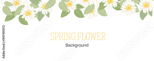 Spring floral in watercolor vector background. Luxury wallpaper design with pink flowers, line art, golden texture.
