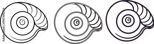 Three Seashell Spirals Outline Vector Illustration, Nautical Theme, Simple Design