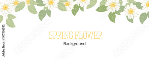 Spring floral in watercolor vector background. Luxury wallpaper design with pink flowers, line art, golden texture.
