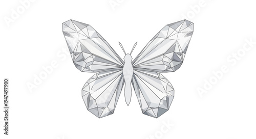 Crystal Butterfly Jewelry Accessory.