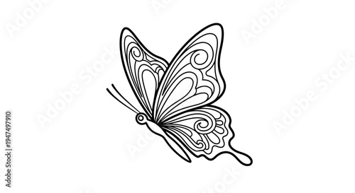 Detailed Butterfly Insect Line Art.