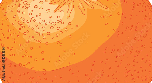Juicy orange fruit with water droplets.